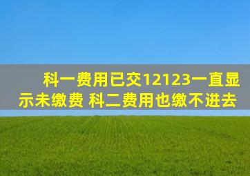 科一费用已交12123一直显示未缴费 科二费用也缴不进去